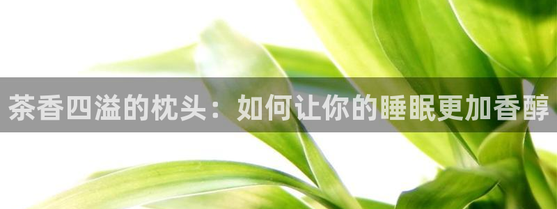 摩登7平台信誉