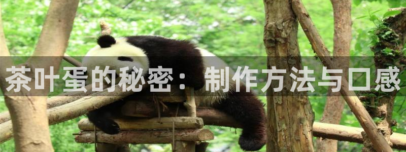 摩登7岁