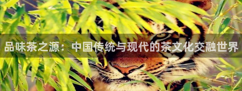 摩登7平台咱7O777