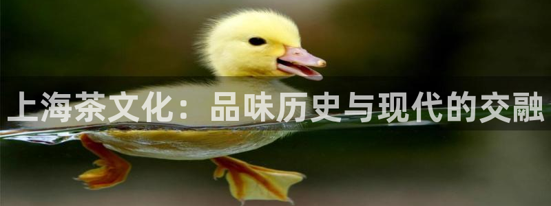 摩登7夜判官333OO