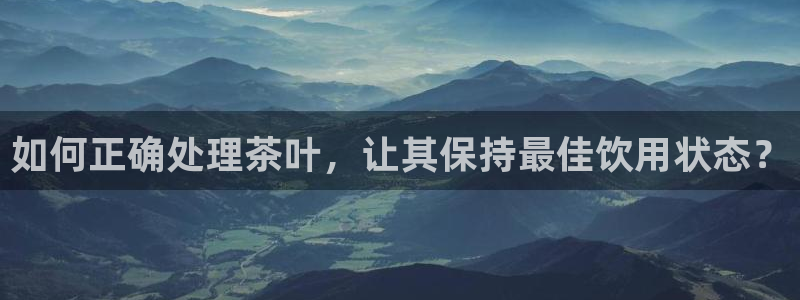 摩登7怎么联系客服