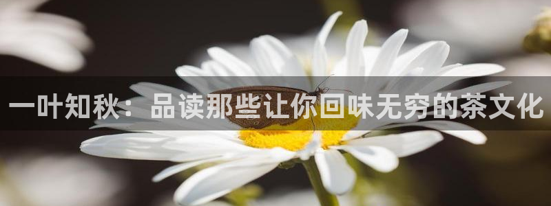 摩登7娱乐