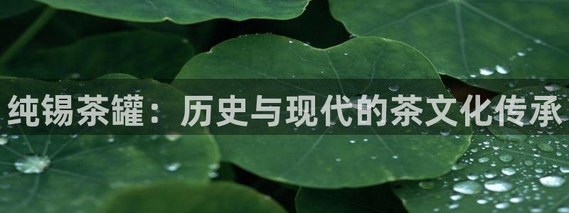 摩登7游戏