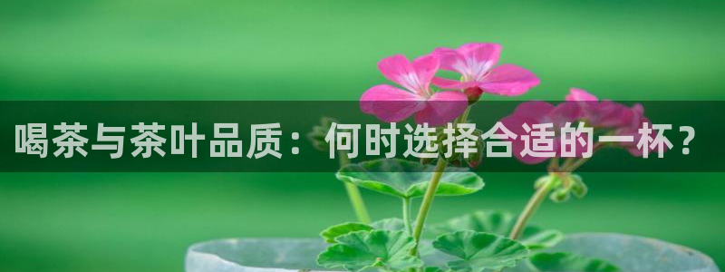 摩登7娱乐平台登录不了