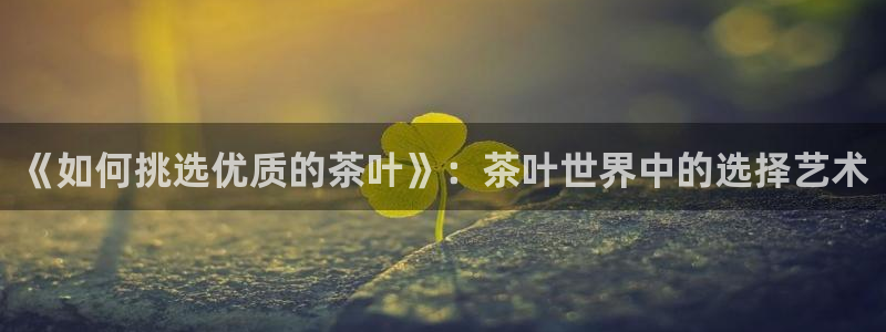 摩登7高阶