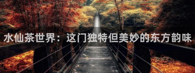 摩登5冯7O667