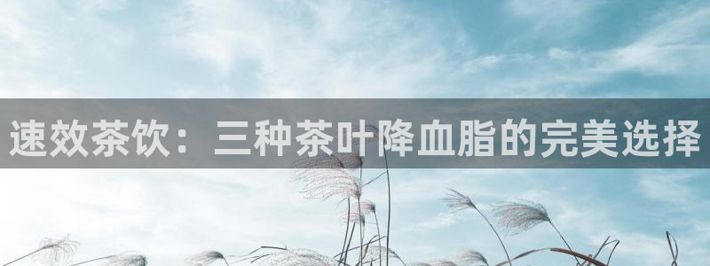摩登招商7快22650