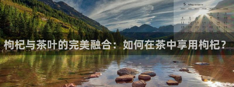 摩登6天7O667