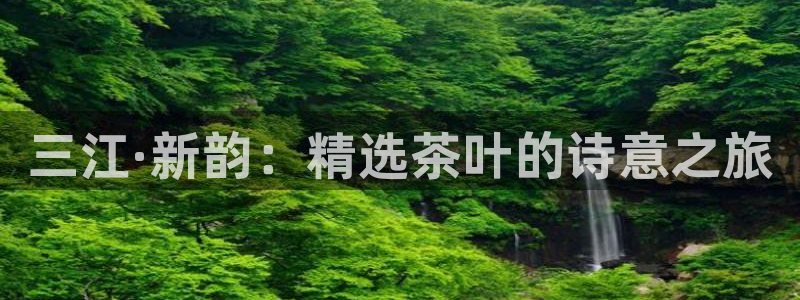 摩登7高阶