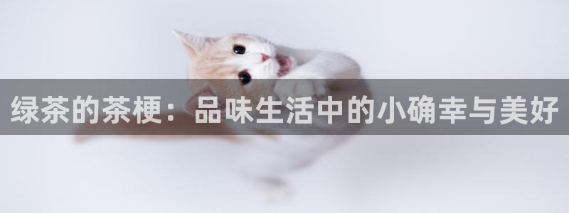 摩登7 1