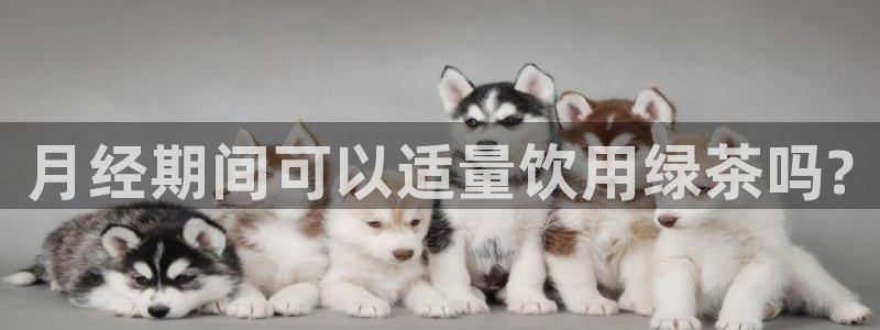 摩登7彩票平台登陆总代