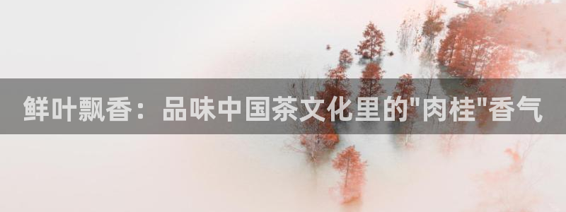 摩登4右7O667