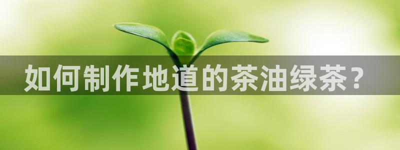 摩登7日
