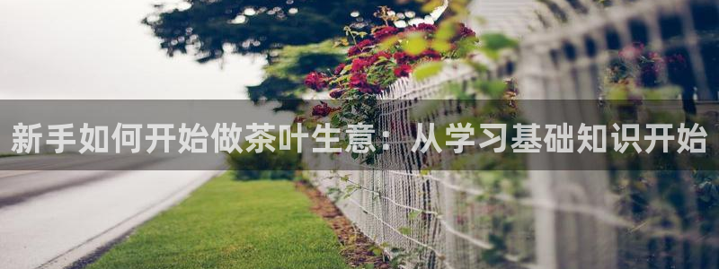 摩登7网站排名