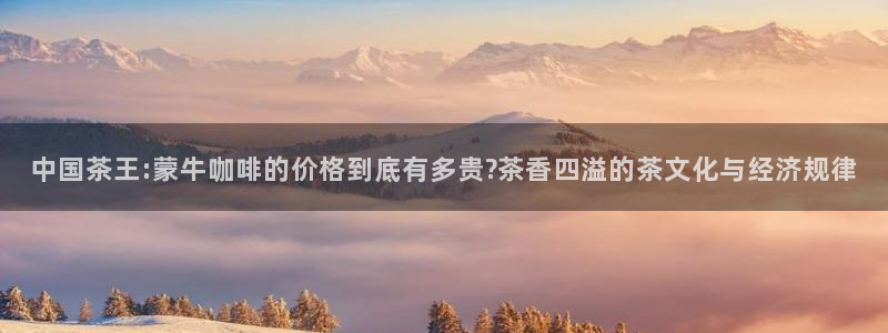摩登7招商主管