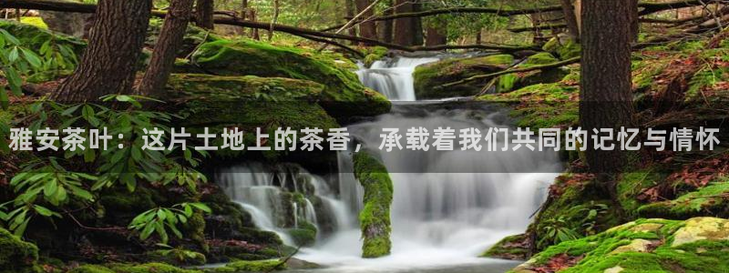摩登3后7O667