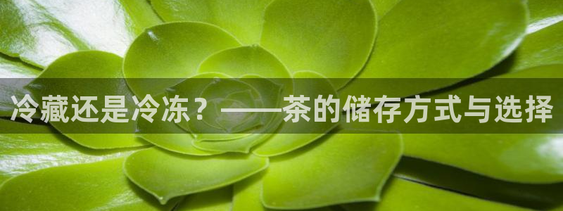 摩登5左7O667