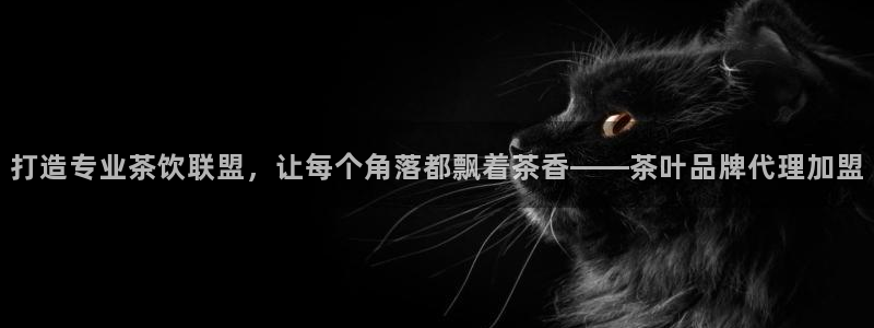 摩登7平台招商