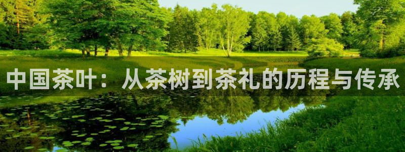 摩登7平台首页