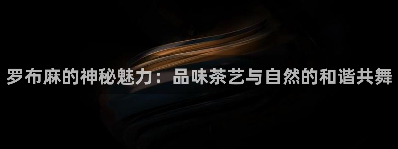 摩登4右7O667