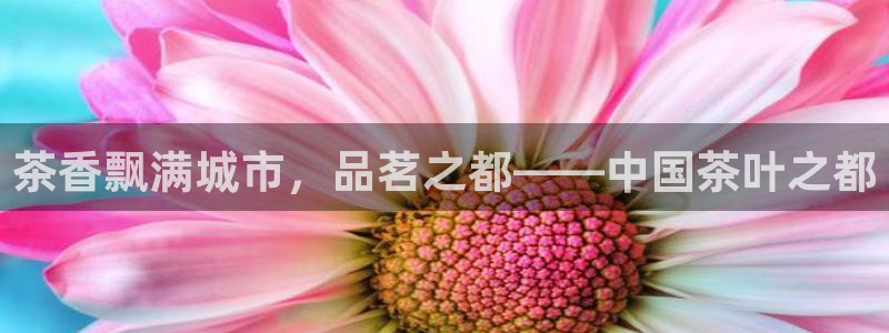 摩登7招商排名