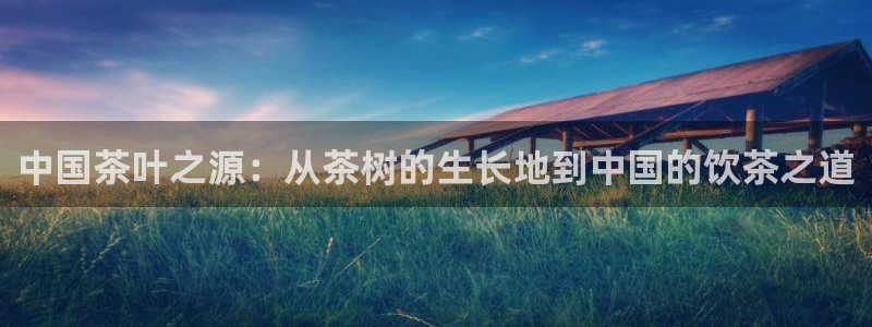 摩登招商7佳22650