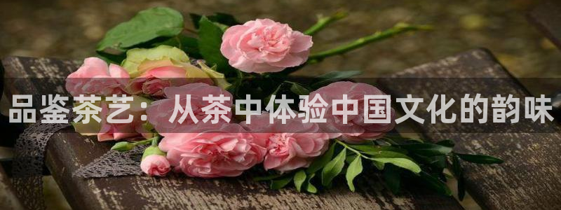 摩登5月7O667