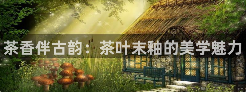 摩登5上7O667
