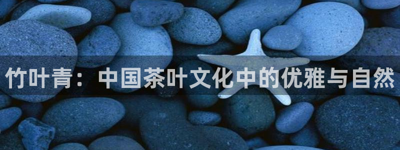 摩登7招商主管