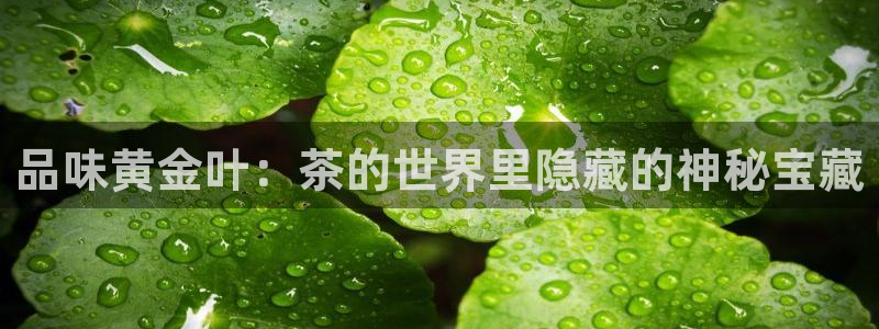 摩登7上级