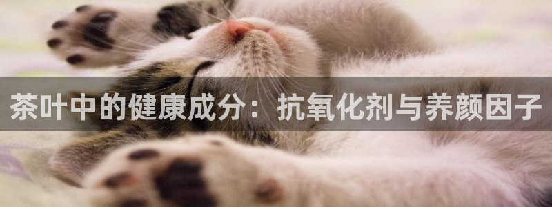 摩登平台标7O777