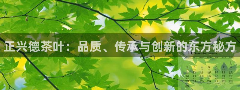摩登7招商议333OO