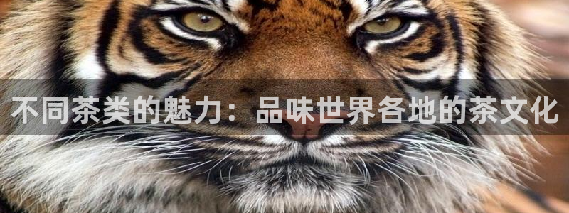 摩登18 7