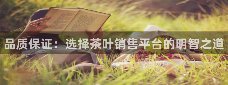 摩登7平台总代理