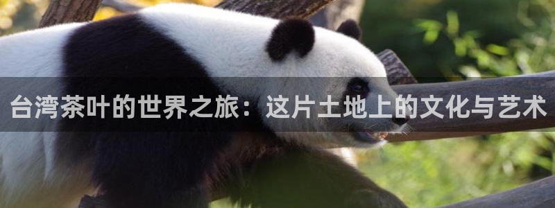 摩登7左