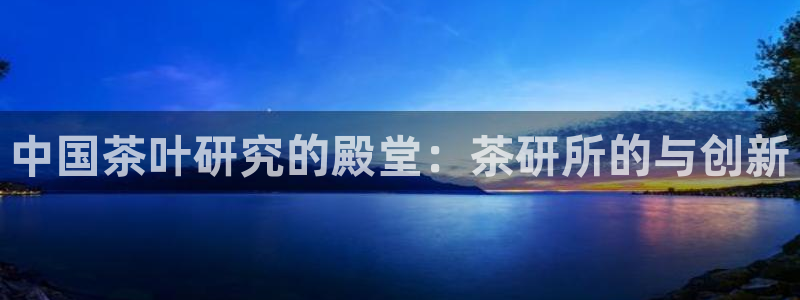 国际版摩登世界7