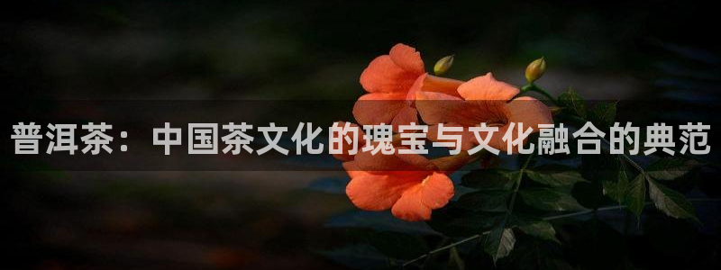 摩登7左3299O7