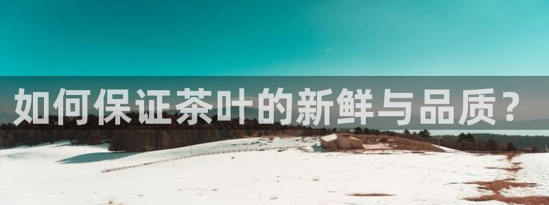 摩登5天7O667