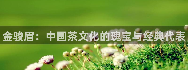 摩登乐园7