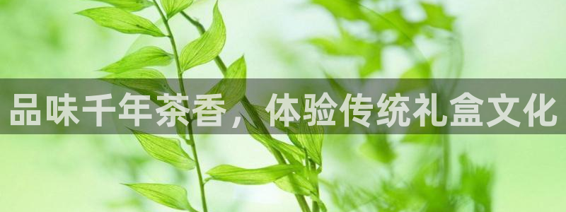 摩登5上7O667