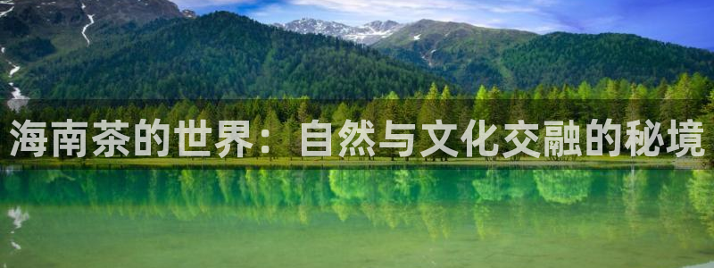 摩登平台局7O777