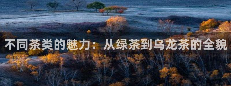 摩登7左7O667