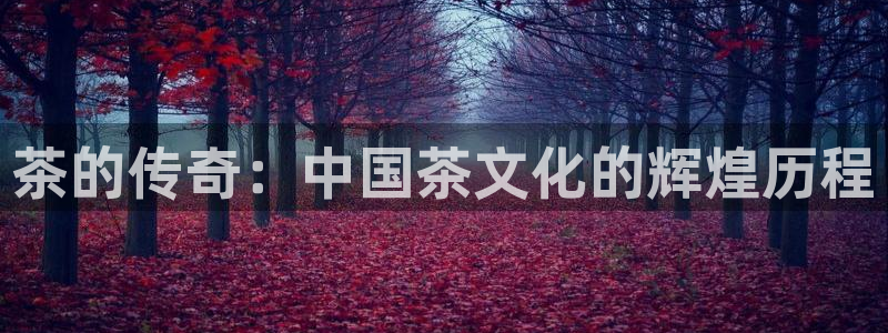 摩登7登录找qv3822233