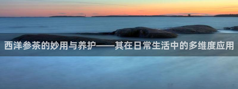 摩登招商丨金手指科捷7