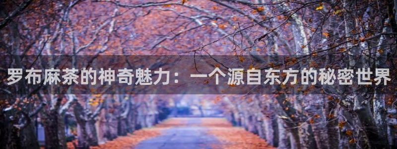 摩登7登录平台注册