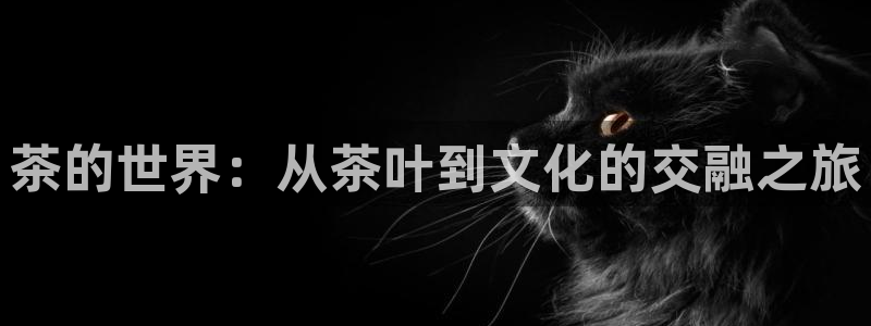 摩登4前7O667