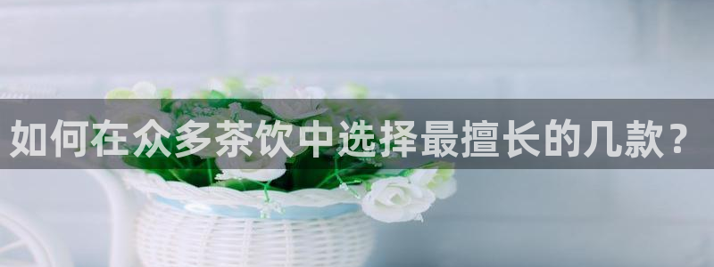 摩登5张7O667