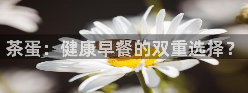 摩登7d2
