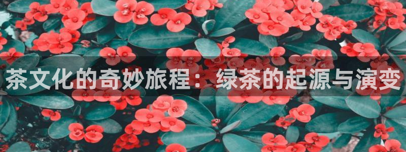 摩登5吕7O667