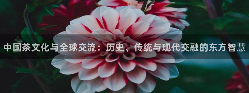摩登7娱乐平台怎么样